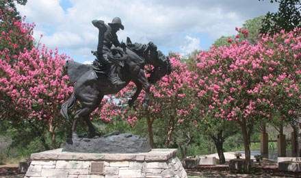 Located in the Beautiful Texas Hill Country